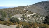 Randonnée Marche Vaugines - PF-Vaugines - Le Mourre Nègre à partir de Vaugines - Photo 2