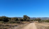 Trail Walking Aniane - grotte des reliques, montcalmes - Photo 14
