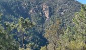 Trail Walking Mandelieu-la-Napoule - Grotte des œufs de bouc  - Photo 20