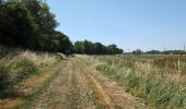 Randonnée Marche Rivarennes - Rivarennes - Rigny-Ussé via PRs - 17.3km 145m 4h55 (1h) - 2025 06 20 - Photo 7
