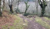 Trail Walking Urrugne - Ibardin Ziburumendi, Yasola forêt de Bera  Gartzin - Photo 8