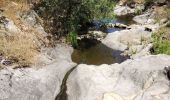 Tocht Stappen Collobrières - Cuves de Boulin - Photo 3