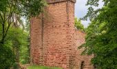 Randonnée A pied Eberbach - Rundwanderweg Neckarbrücke 3: Stolzeneck-Weg - Photo 8