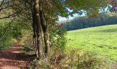 Tour Wandern Sprimont - dans la campagne de Florzé Sprimont  - Photo 11