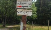 Trail Walking Stosswihr - le sentier des roches  - Photo 4