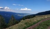 Trail Walking Stosswihr - gaschney-grotte Dagobert - Photo 4