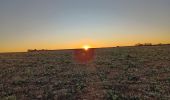 Trail Walking Valensole - plateau de valensole . ravin des cognets . ravin de la combe  - Photo 5