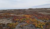 Tour Wandern Sainte-Marie-la-Mer - sainte-marie côté mer  - Photo 8