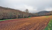 Trail Walking Campagnac - Campagnac - Photo 3