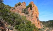 Excursión Senderismo Saint-Raphaël - Pk Col de Belle Barbe - Ravin Mal Infernet - Pic du Cap Roux - Grotte Saint Honorat - Ravin des Lentisques - Photo 13