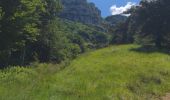 Trail Walking Beauregard-Baret - Pas de la pierre - Photo 1