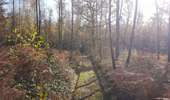 Trail Horseback riding Viroinval - Oignies- Nobertin- La folie-Oignies - Photo 10