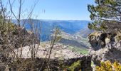 Tour Wandern Ispagnac - Salancon/ Le Rocher de la Table/ Lonjagnes - Photo 3