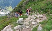 Trail Walking Vallorcine - MASSIF DES AIGUILLES ROUGES: LE LAC BLANC DEPUIS LE COL DES MONTETS - Photo 9