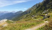 Trail Walking Les Contamines-Montjoie - Très La Tête 10 08 2023 - Photo 12