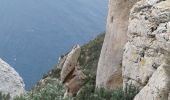 Trail Walking La Ciotat - La Ciotat les crêtes le 04/12/2019 - Photo 5