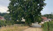 Tocht Stappen Aarschot - SGR Hageland: de Aarschot à Wezemaal - Photo 14