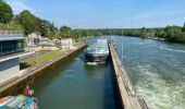 Trail Walking Saint-Fargeau-Ponthierry - Ponthierry les vives-eaux 02/06/2021 - Photo 1