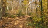 Randonnée Marche Profondeville - Les Bois de Lustin  - Photo 1