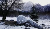 Trail On foot Tarvisio - IT-514 - Photo 4