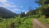 Excursión Senderismo Vresse-sur-Semois - rando 20 -05-2024 laforêt - Photo 9