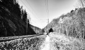 Tour Zu Fuß Vielsalm - Vielsalm jaune - Photo 1