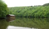 Tocht Te voet Houffalize - Promenade du Lac de Nisramont - Photo 6