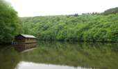 Trail On foot La Roche-en-Ardenne - Promenade du Lac de Nisramont - Photo 6