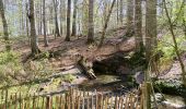 Percorso Marcia Auderghem - Oudergem - Rouge-Cloître & Jardin Massart (extension) - Photo 2