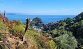 Randonnée A pied Camogli - sejour-cinque-terre-journee-3-la-presqu-ile-de-portofino - Photo 4
