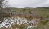 Tocht Stappen Prinsuéjols-Malbouzon - prinsueljols-aubrac etape st Jacques  - Photo 3