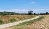 Trail Walking Gualta - Gualta 100725 - Photo 20