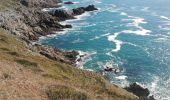 Randonnée Marche Plogoff - pointe du Raz - Photo 10