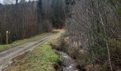 Tocht Stappen Trois-Ponts - GR 5 EN BOUCLE LIEGE TOME 2 rando 29 14km - Photo 7