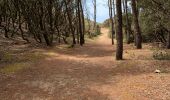 Tour Wandern Les Sables-d'Olonne - Zot/tinou le mehnir  - Photo 13