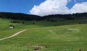 Tocht Stappen Fillière - PAS DU ROC PUIS PASSAGE DE RONCEVAUX... VIA LE SENTIER DES ESPAGNOLS - Photo 2