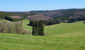 Randonnée Marche Houffalize - Engreux 070426 - Photo 12