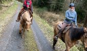 Trail Horseback riding Baccarat - Chez Alex mercredi 21 février 24 Mirador  - Photo 14