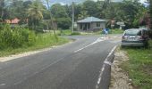 Percorso Bici da strada Sainte-Anne - Grand fonds  - Photo 2