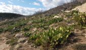 Percorso Marcia Ramatuelle - PRESQU'ÎLE DE SAINT-TROPEZ - DE L'ESCALET AU CAP TAILLAT - Photo 10