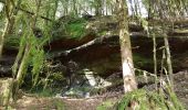 Randonnée Marche Pierre-Percée - Lac de la Pierre-Percée - château de Salm - grotte des Poilus et l'observatoire - Photo 13