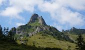 Percorso A piedi Sconosciuto - Vârful Ciucaș - Șaua Ciucaș - Plaiul Domnesc - Poiana Dălghiului - Photo 3