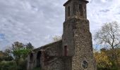 Excursión Senderismo Laure-Minervois - Laure Minervois - Photo 15