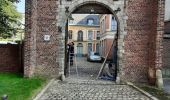 Tour Wandern Lille - LILLE Beffrois - Photo 3