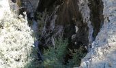 Tour Wandern Saint-Léger-du-Ventoux - st léger savoillan  - Photo 4