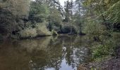 Trail Walking Esneux - Esneux Mary . Amostrenne .Hout si Plout . Bonsgnée . La Salle . Lagrange .Rond Bati . Esneux Mary - Photo 1