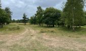 Randonnée Vélo électrique Schouwen-Duiveland - Schouwen Duivenland Tour - Photo 3