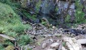 Randonnée Marche Mont-Dore - LES CASCADES DU SAUT DU LOUP, ROSSIGNOLET ET QUEUREUILH - Photo 10