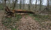 Percorso Marcia Vauchassis - Bois des Ferrieres - Photo 5