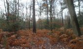 Trail Walking Oissel - 20231128-les essarts cool - Photo 9